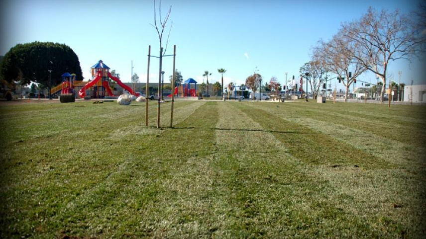 Wilson Park, Compton, CA