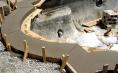 Decorative Concrete (Poured in Place) 3.jpg